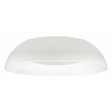 Накладной светильник loft it cappel...